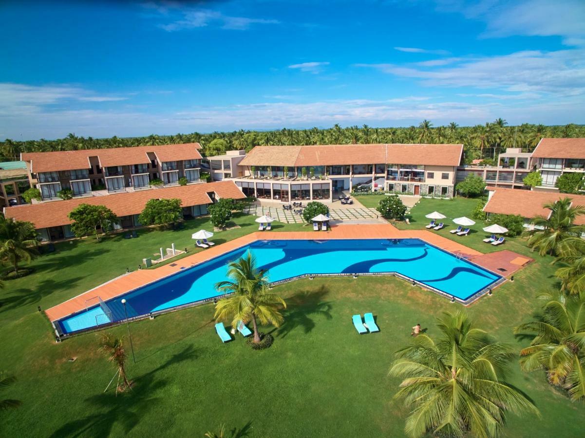 The Calm & Resort